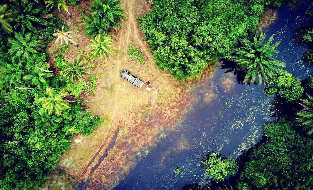 N’ganda N’ganda, un symbole de résilience forestière